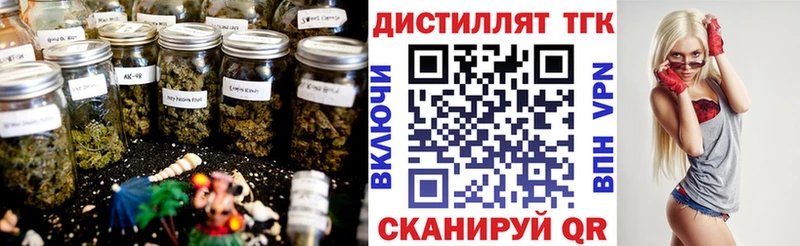 darknet наркотические препараты  Челябинск  Дистиллят ТГК THC oil  где найти   MEGA сайт 