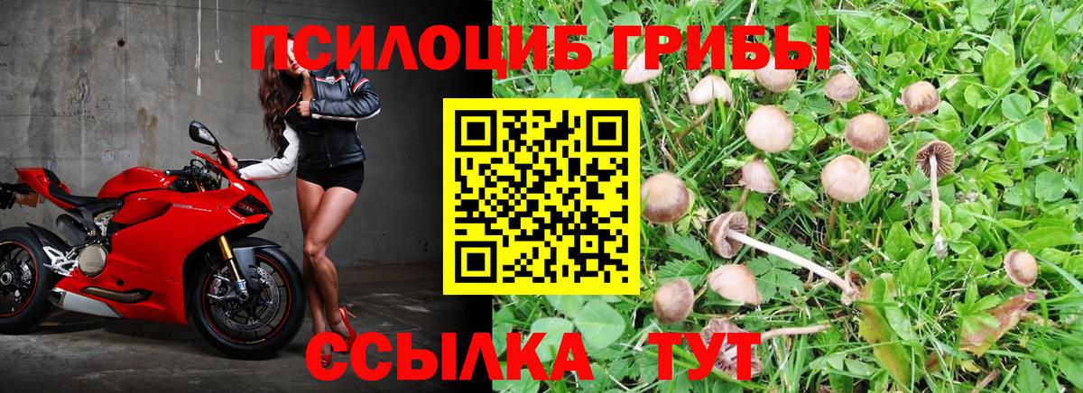 Челябинск  Псилоцибиновые грибы Psilocybe  Вход с VPN  Псилоцибиновые грибы Cubensis 