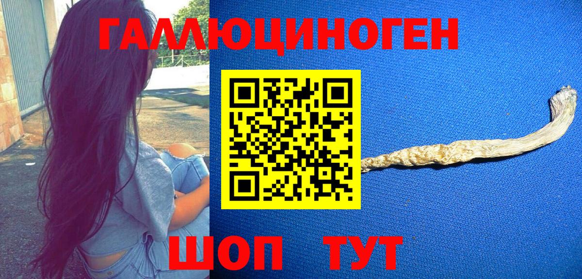 Галлюциногенные грибы прущие грибы Челябинск