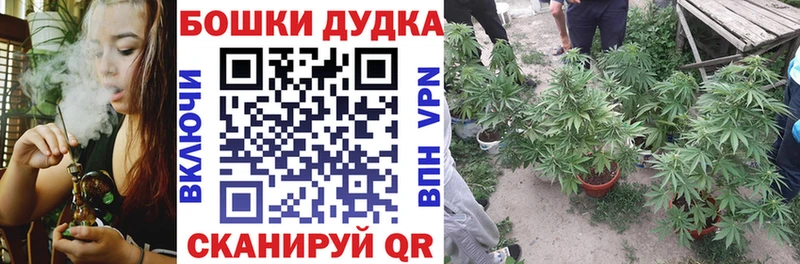 Шишки марихуана гибрид  Челябинск 